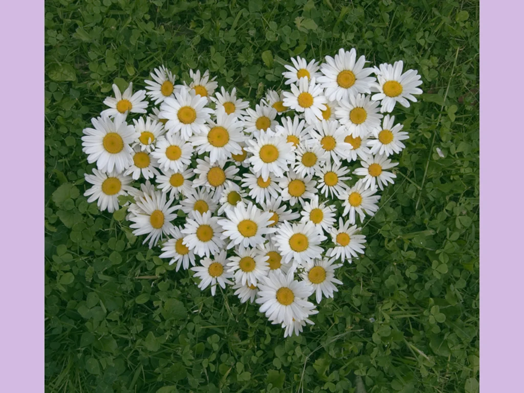 Valentines-Day!!!    Честит Свети Валентин!