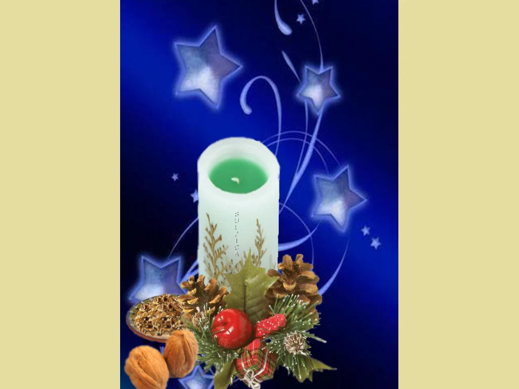 Весели коледни празници!