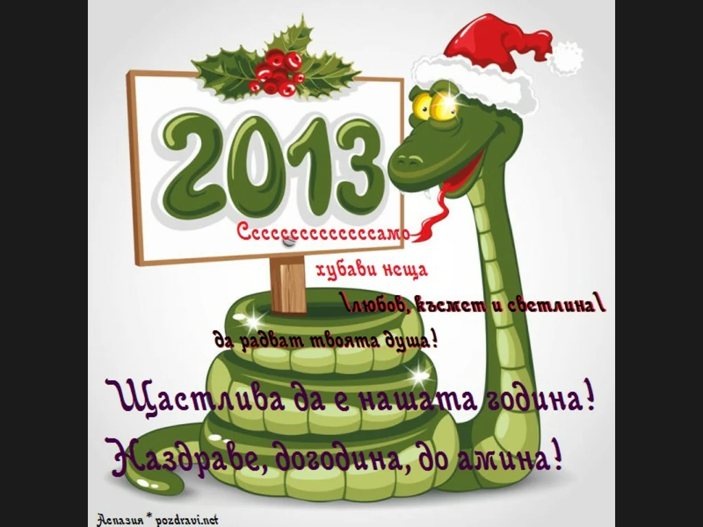 2013 - година на Змията