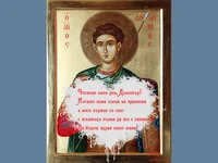 Поздрав за Димитър