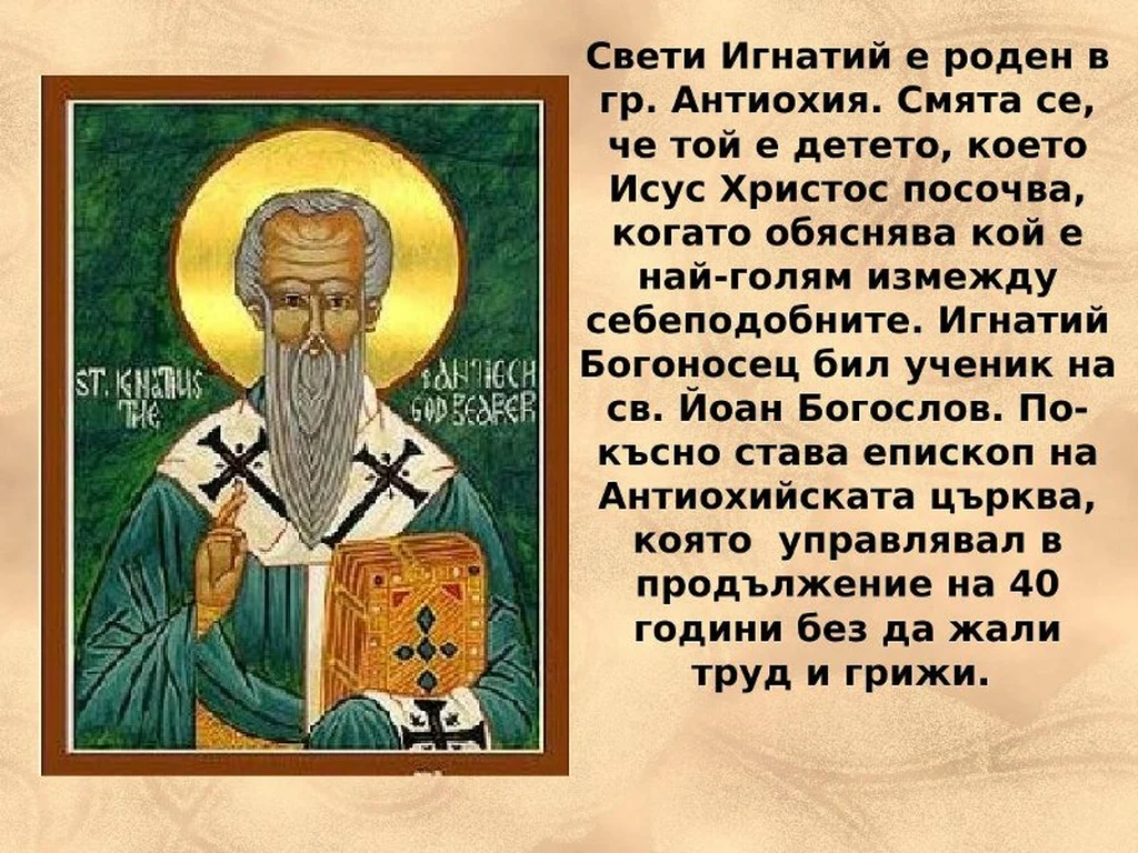 Биография на свети Игнатий.