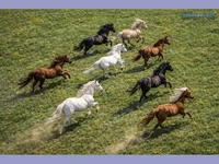 Честит Тодоров ден!