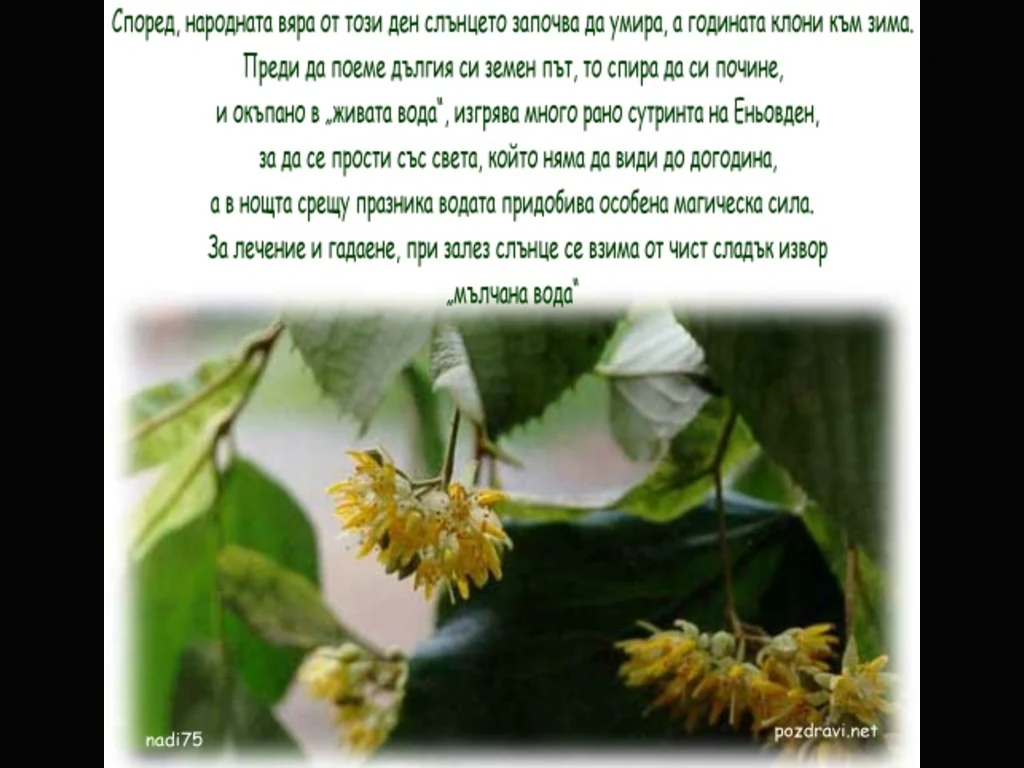 Честит Еньовден