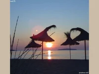 Джулай морнинг