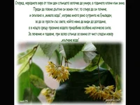 Честит Еньовден