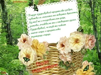 бързо оздравяване