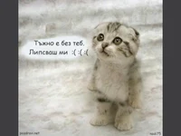 Липсваш ми ...