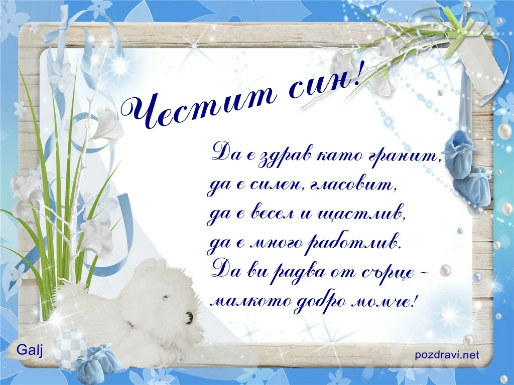 Честит Син!!!