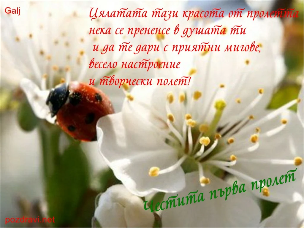 Честита първа пролет.