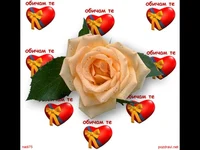 Любовта е живот!