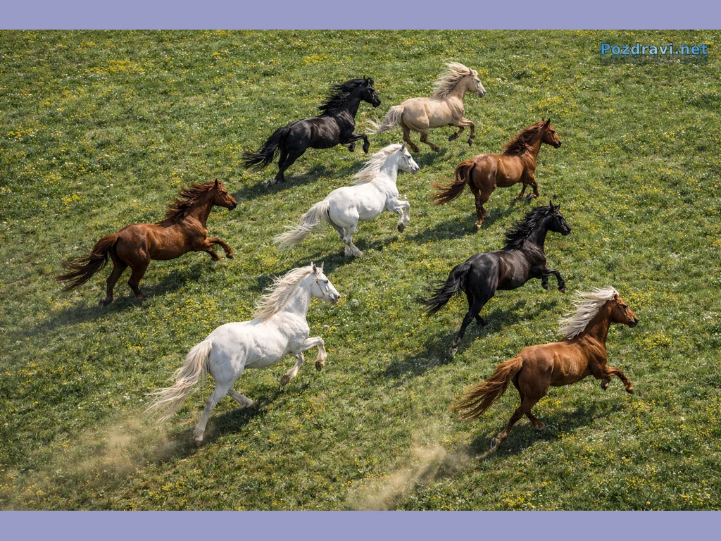 Честит Тодоров ден!