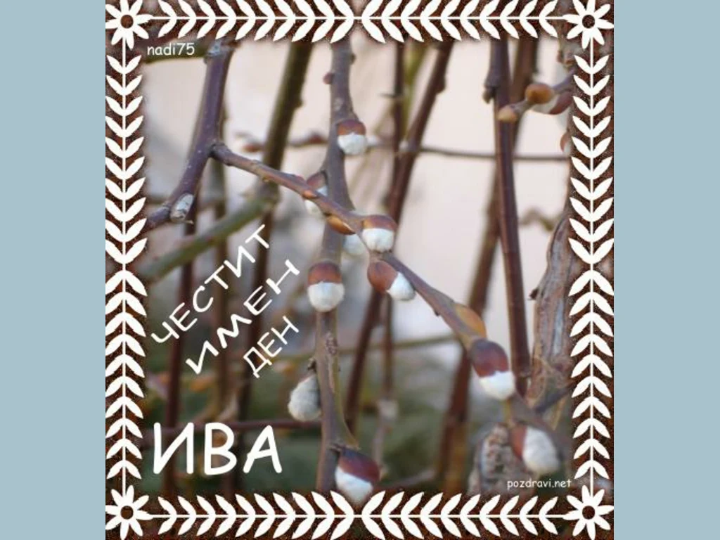 Цветница. Поздрав за Ива!