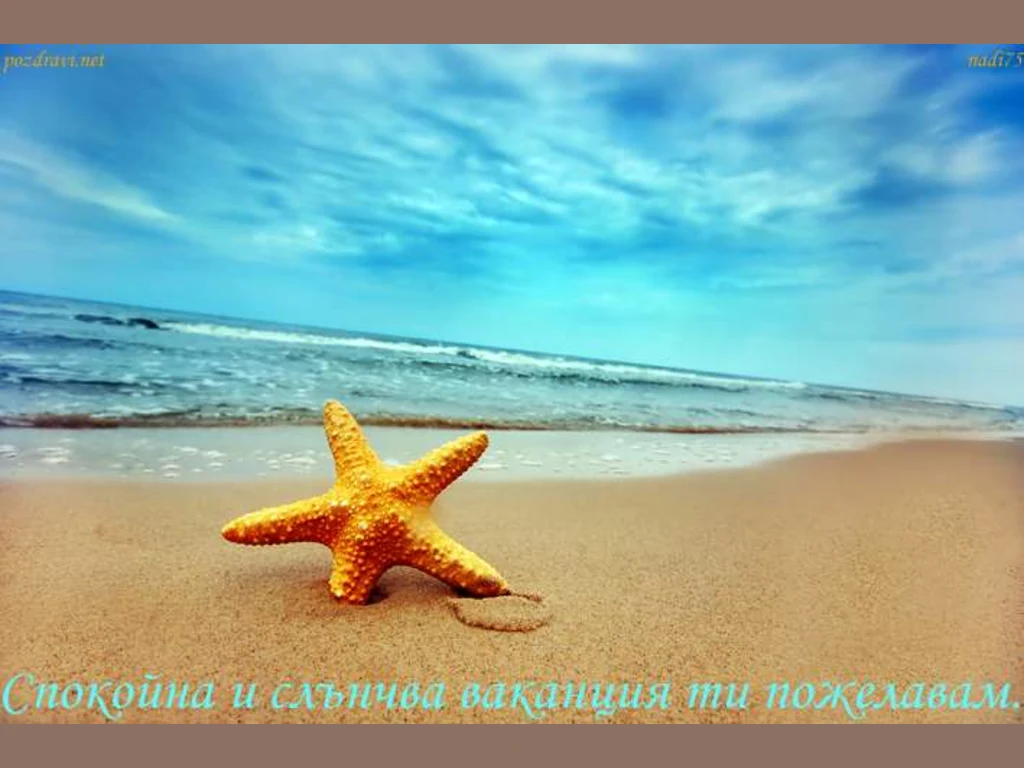 Морска звезда