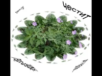 Гергьовден  Честит Празник