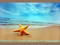 shutterstock1 14778628