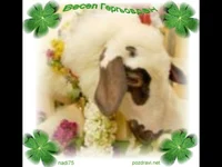 Гергьовден