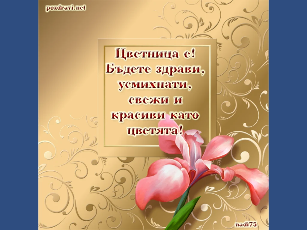 Златен ирис за цетница