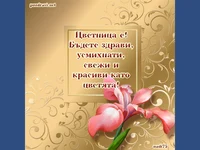 Златен ирис за цетница