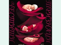 Честити тризнаци!