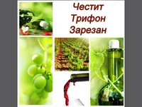 Трифона Зарезан–Честит Празник!