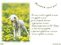 Пожелание за Гергана,Галя,Галина и др.