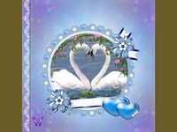 Нека любовта ни бъде птица бяла!