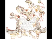 Коледна анимирана картичка-пеещи мечета!