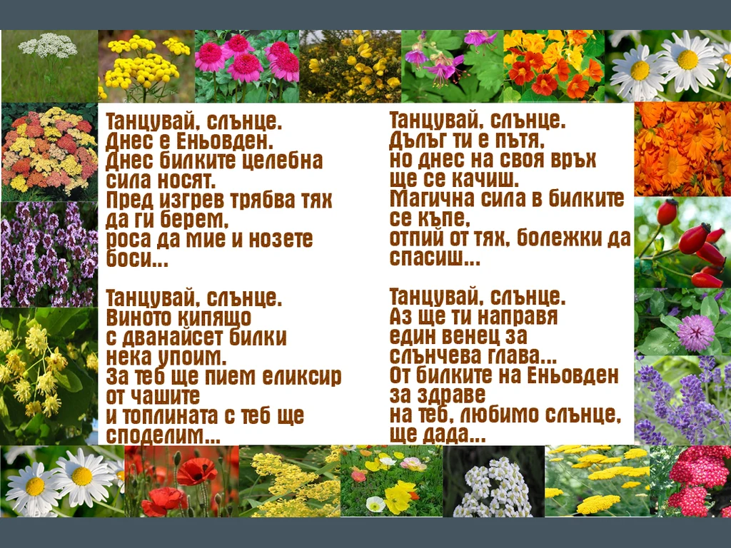 Еньовден във стих