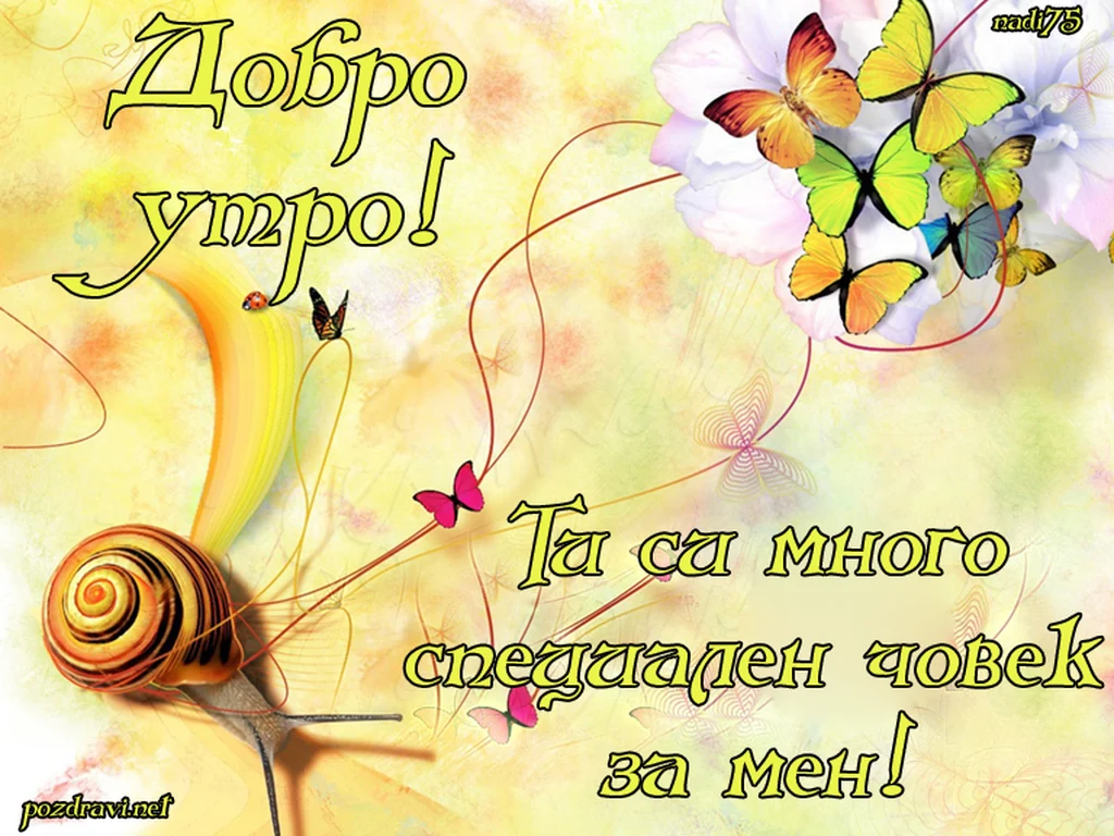 За най-специалния човек