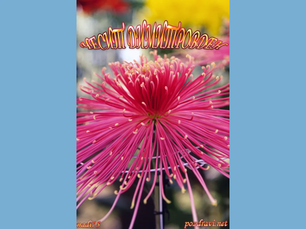 Честит Димитровден