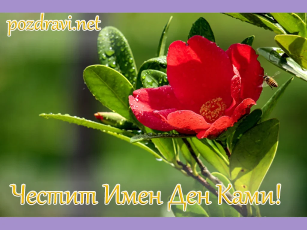 Честит имен ден Ками!