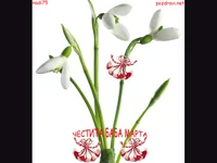 ЧЕСТИТА БАБА МАРТА!