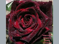 Честит имен ден Спаси