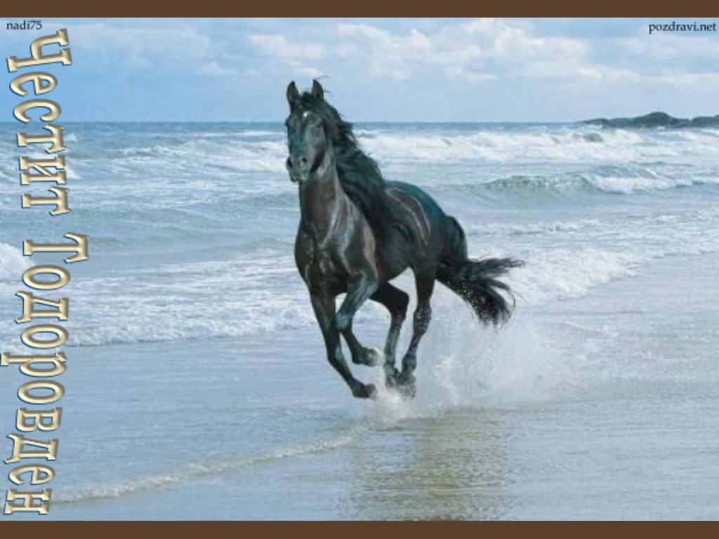 Честит Тодоровден!