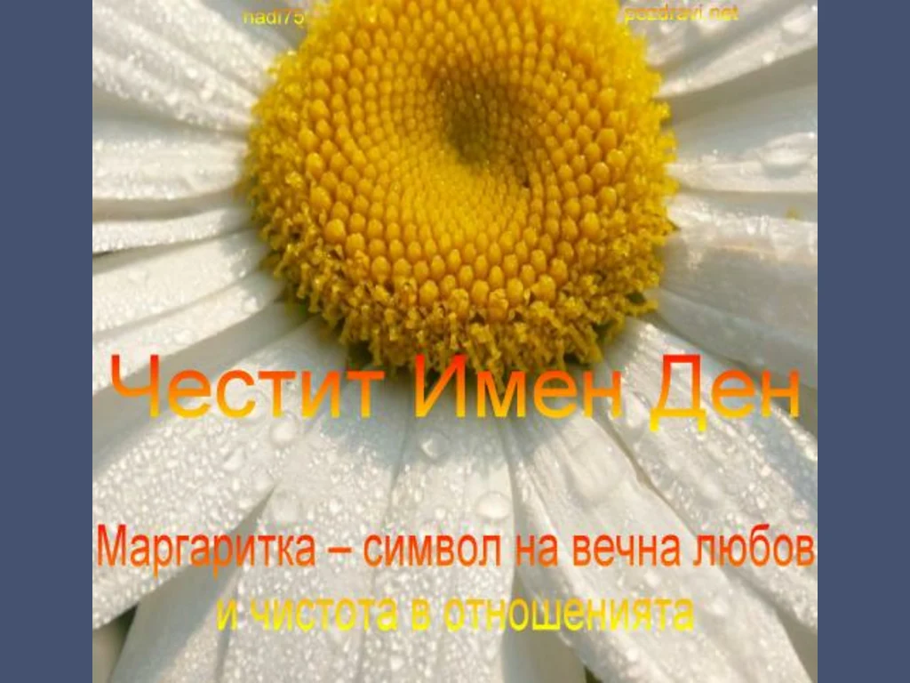 Цветница Поздрав за Маргарита!