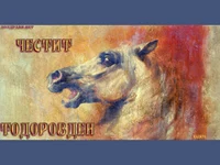 Тодоров Ден Картичка с Кон!