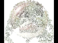 Коледна анимирана картичка!