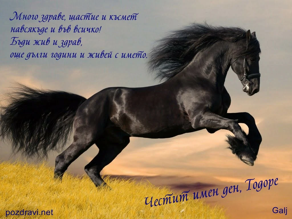 Честит имен ден,Тодоре!