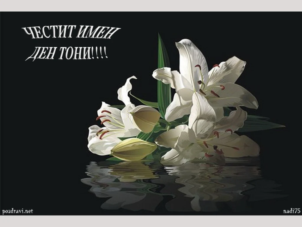 Честит Имен Ден Тони!