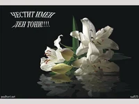 Честит Имен Ден Тони!