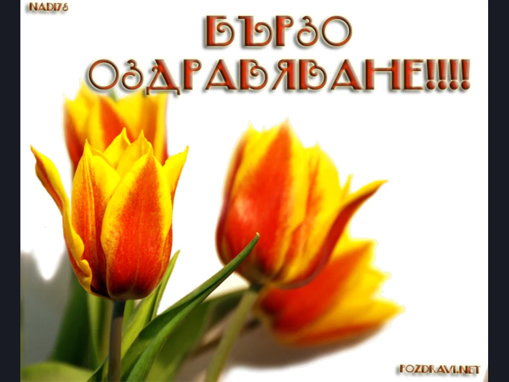 бързо оздравяване