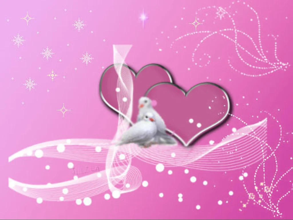 Две влюбени бели гълъбчета!