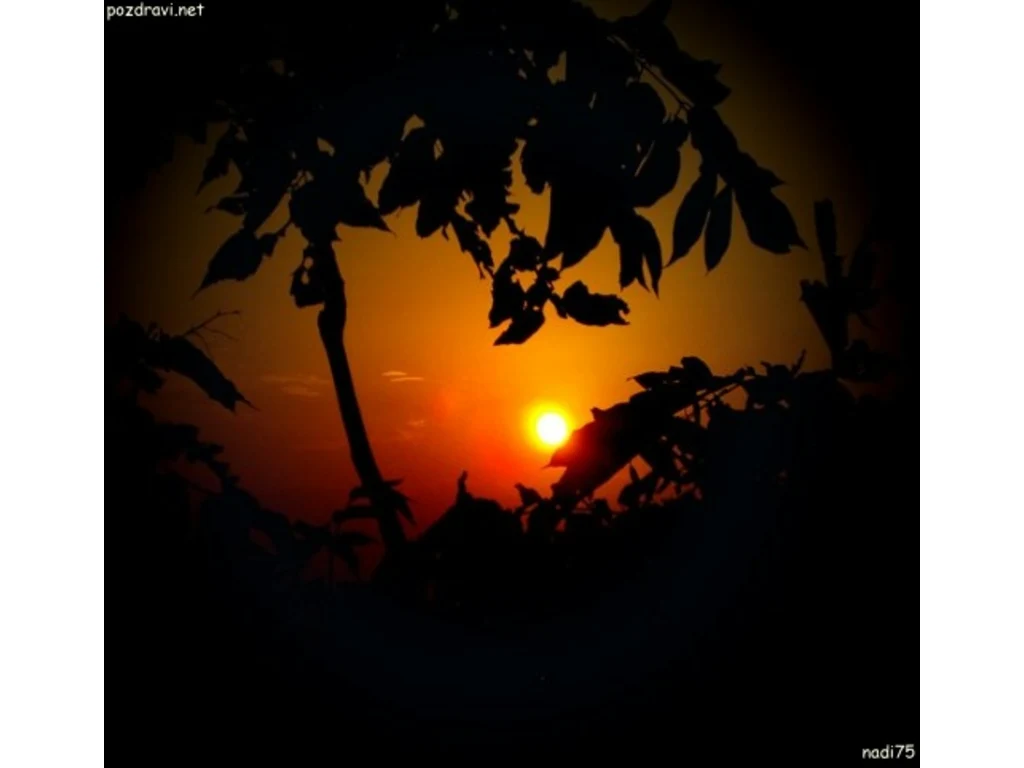 Джулай морнинг