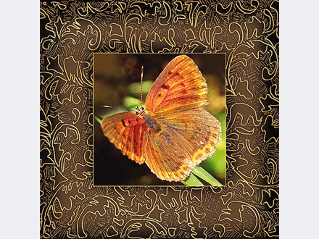 Честит Празник !