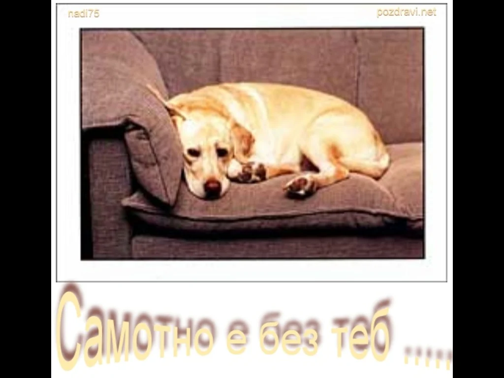 Липсваш ми ... Самотно е без теб....