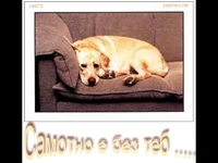 Липсваш ми ... Самотно е без теб....