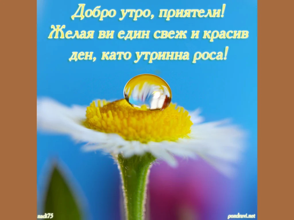 Като утринна роса