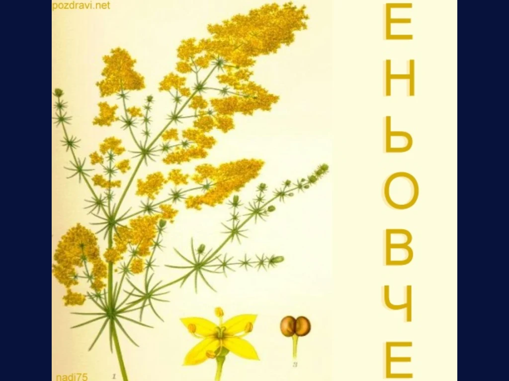 Честит Именден