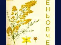 Честит Именден