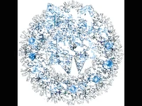 Коледна анимирана картичка2184
